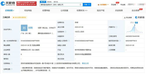 信息系统集成服务的核心价值与现代应用