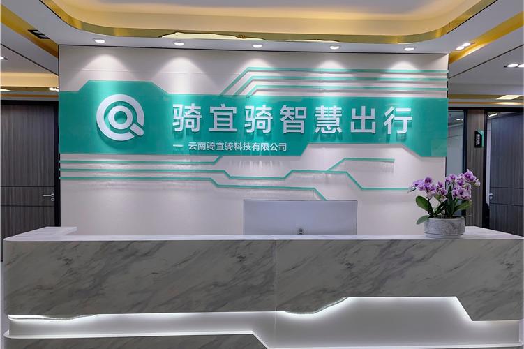 云南骑宜骑科技集团 以信息系统集成为引擎，赋能智慧出行新生态